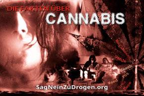 Fakten über Cannabis